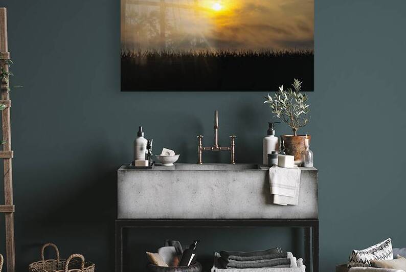 Hazy Sunrise Over Cornfield by Marc Gilbert Photography