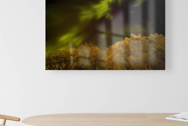 Northern Light Above the Canopy by Marc Gilbert Photography