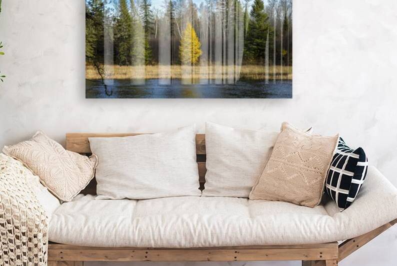 Lone Tamarack Tree by Marc Gilbert Photography