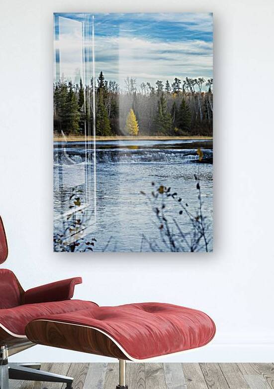 Lone Tamarack Behind the Falls by Marc Gilbert Photography