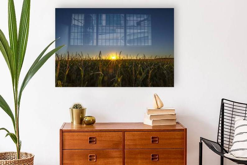 Sunset in the Cornfield by Marc Gilbert Photography