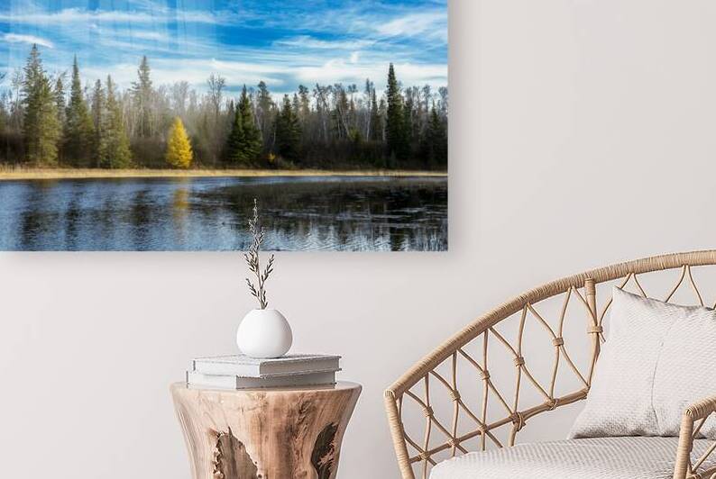 Lone Tamarack Tree Reflection by Marc Gilbert Photography