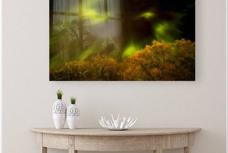 Northern Lights Above the Canopy by Marc Gilbert Photography