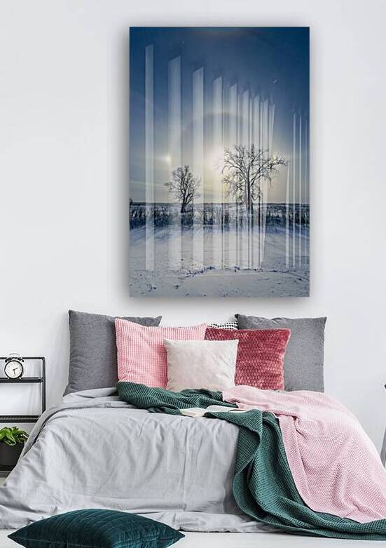 Sundogs Behind Lone Trees by Marc Gilbert Photography