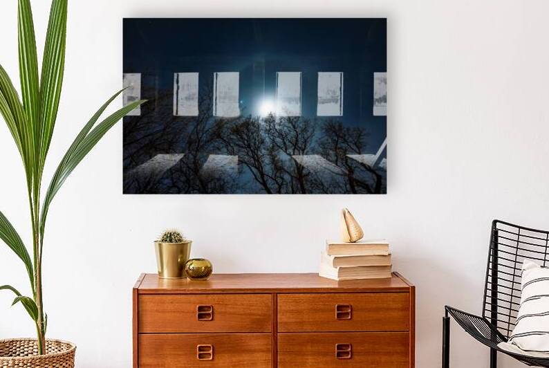 Moon Halo Above the Canopy by Marc Gilbert Photography