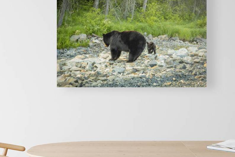 Mama Bear and its Cub by Marc Gilbert Photography