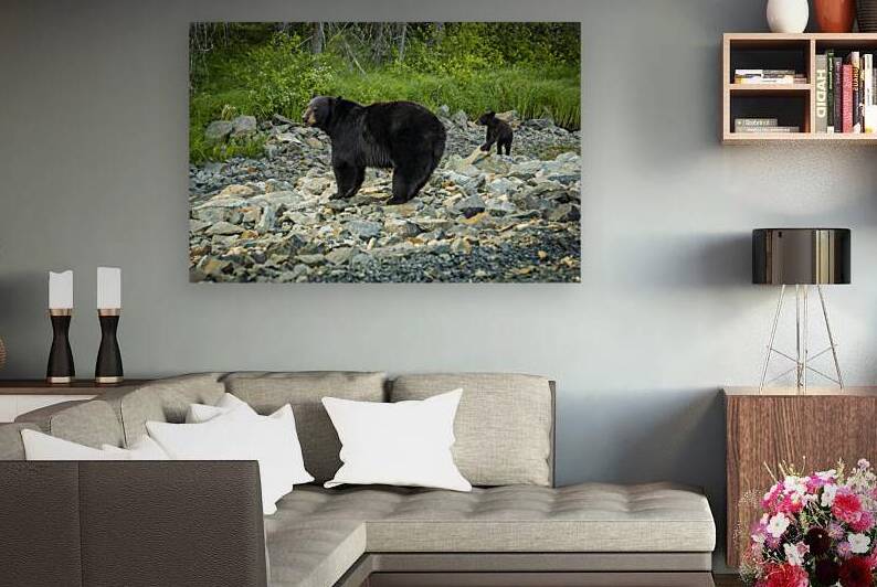 Mama Bear and its Cub by Marc Gilbert Photography