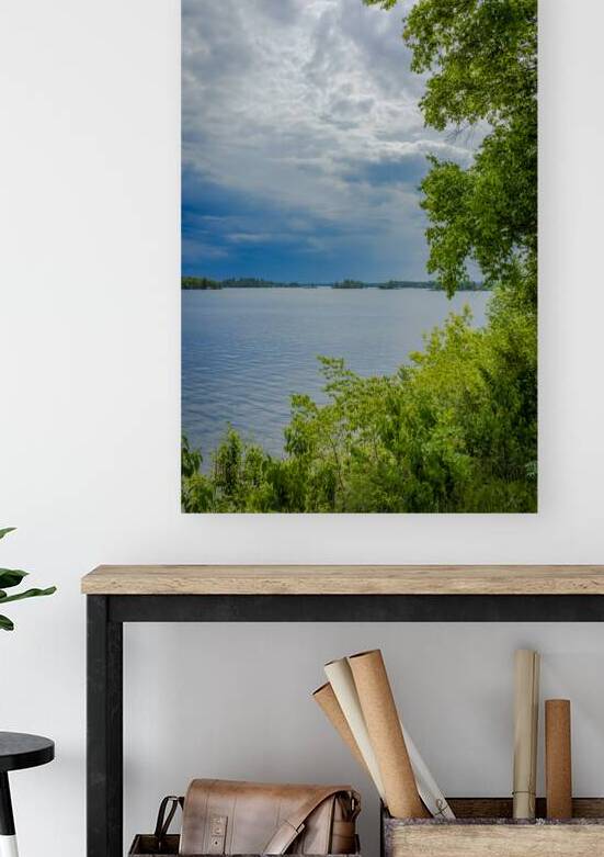 Lake of the Woods Shore by Marc Gilbert Photography