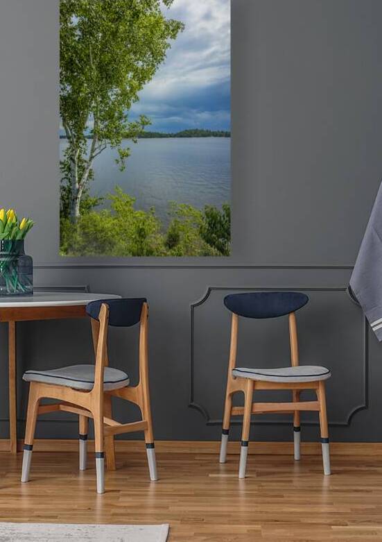 Lake of the Woods Shore by Marc Gilbert Photography