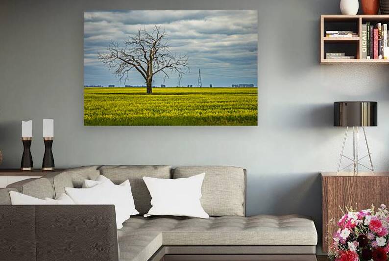 Solitude in Yellow by Marc Gilbert Photography