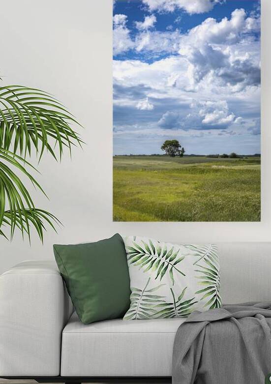 Lone Tree on a Cloudy Day by Marc Gilbert Photography