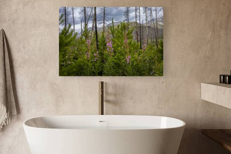 New Life by Marc Gilbert Photography