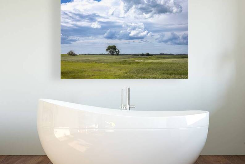 Lone Tree and Cloudy Sky by Marc Gilbert Photography