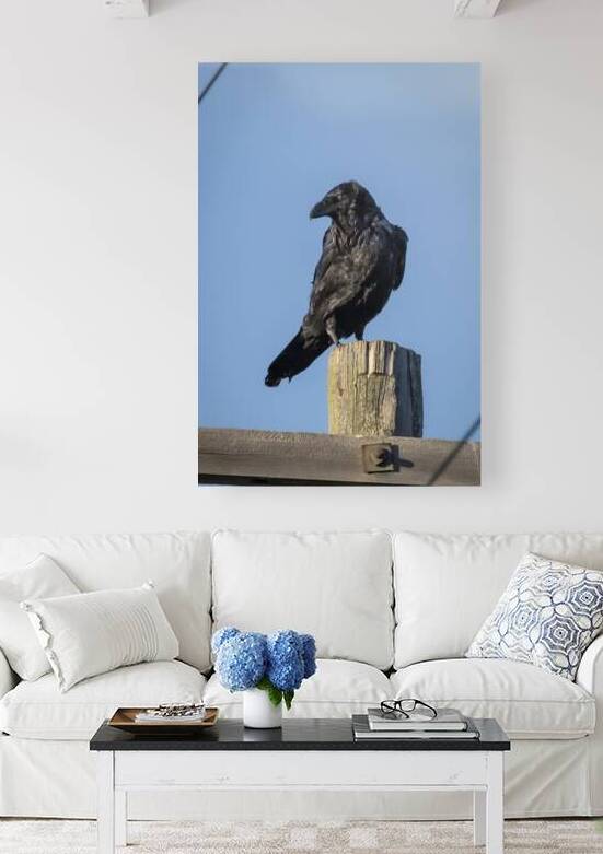 Raven on a Post by Marc Gilbert Photography