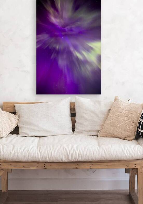 Night Bloom by Marc Gilbert Photography