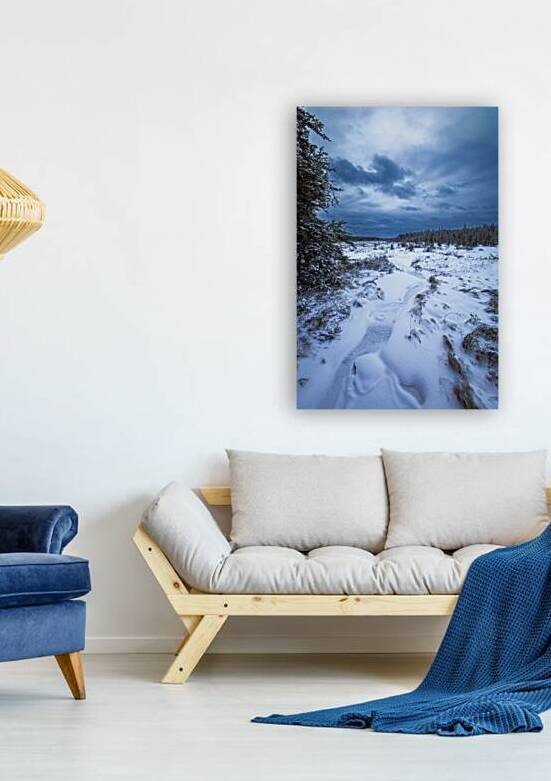 Boreal Stillness by Marc Gilbert Photography