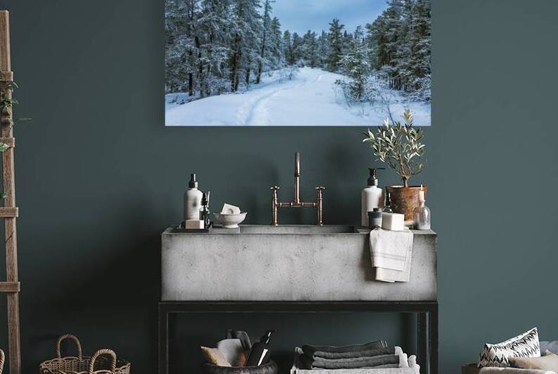 Winter on Hanson Creek Trail by Marc Gilbert Photography