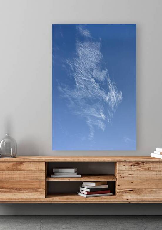 Sky Wing by Marc Gilbert Photography