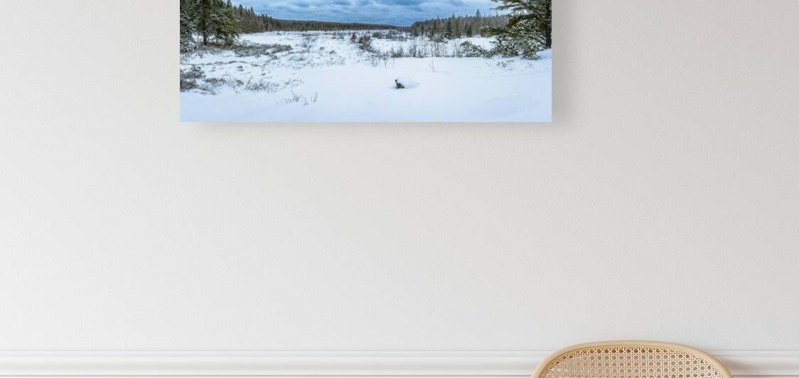 Winter Expanse by Marc Gilbert Photography