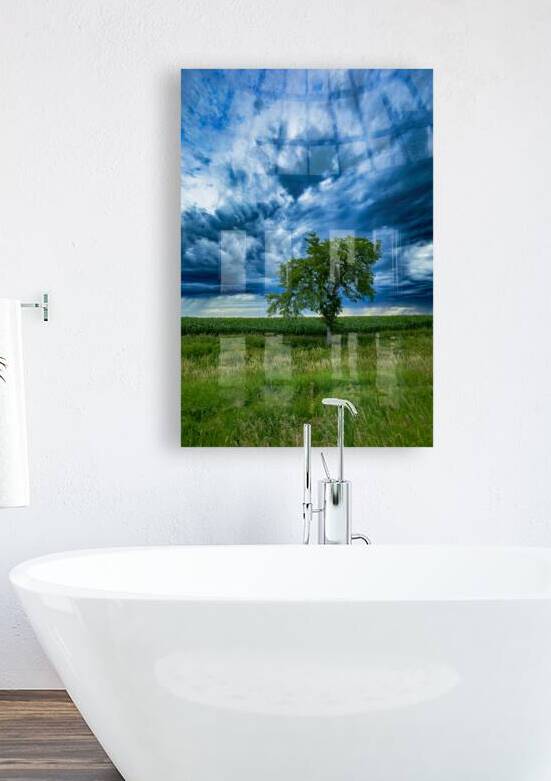 Lone Tree After the Storm by Marc Gilbert Photography