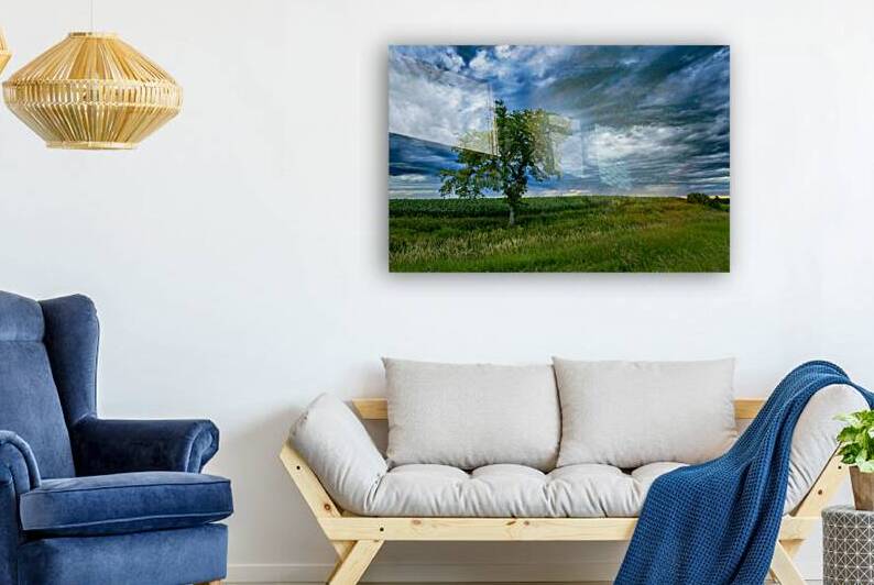 Lone Tree After the Storm by Marc Gilbert Photography