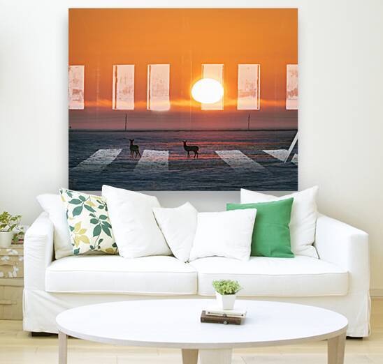 Deer in Sunrise by Marc Gilbert Photography