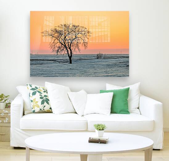 Lone Tree in Pastel by Marc Gilbert Photography