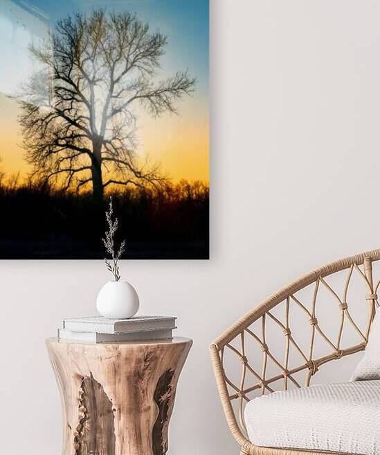 Lone Tree at Dusk by Marc Gilbert Photography