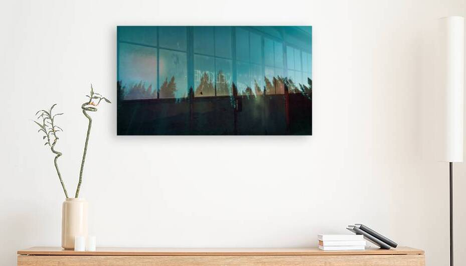 Boreal Silhouette by Marc Gilbert Photography