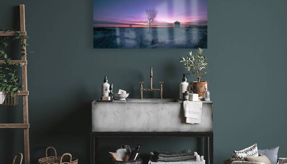 Lone Trees and Grain Bin by Marc Gilbert Photography