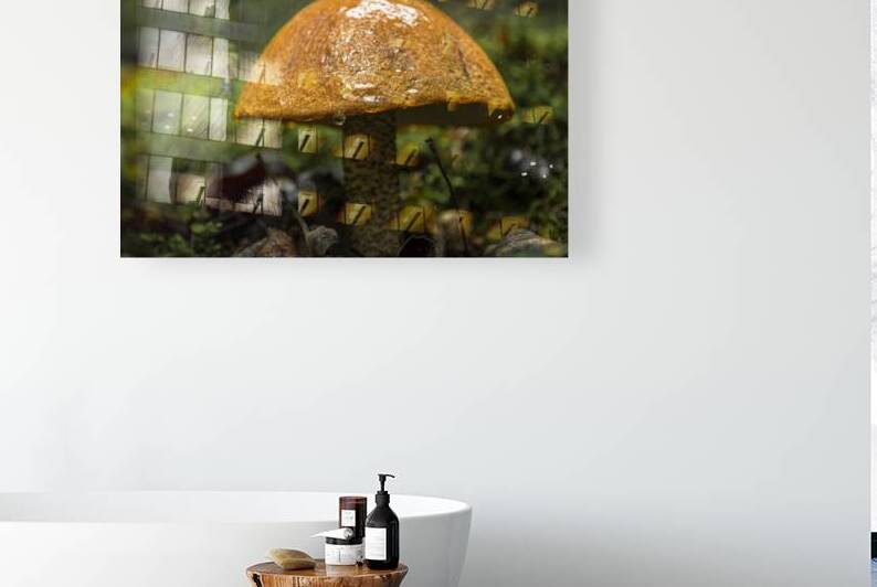 Mushroom after the rain by Marc Gilbert Photography