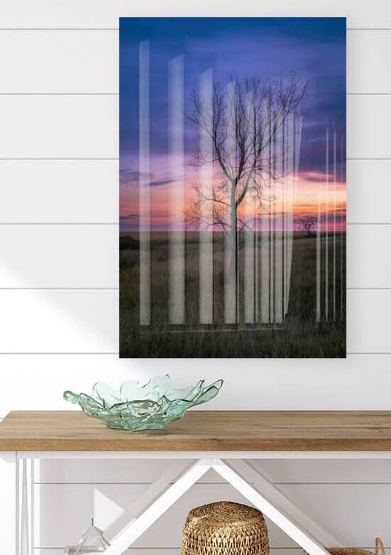 Lone Tree at Sunrise by Marc Gilbert Photography