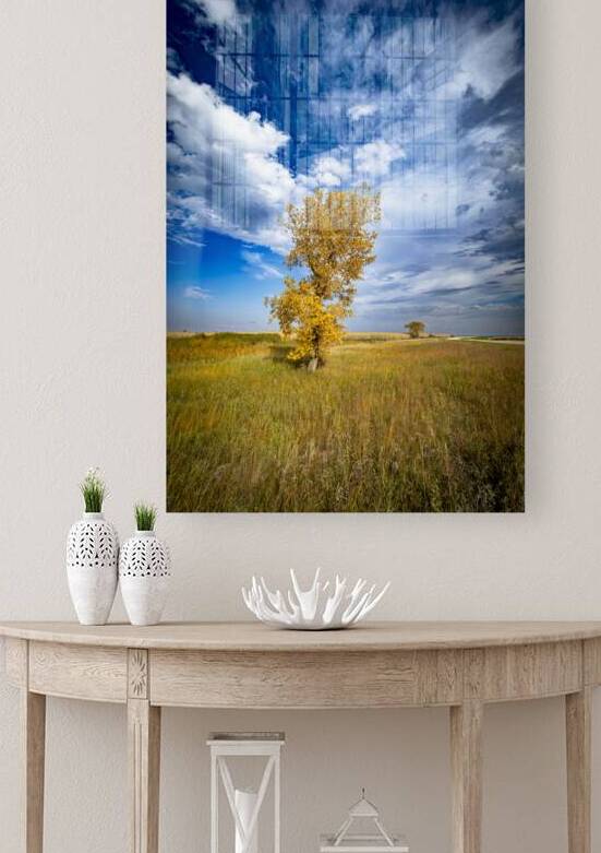 Lone Trees in the Fall by Marc Gilbert Photography