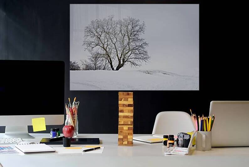 Lone Tree in Hoarfrost by Marc Gilbert Photography