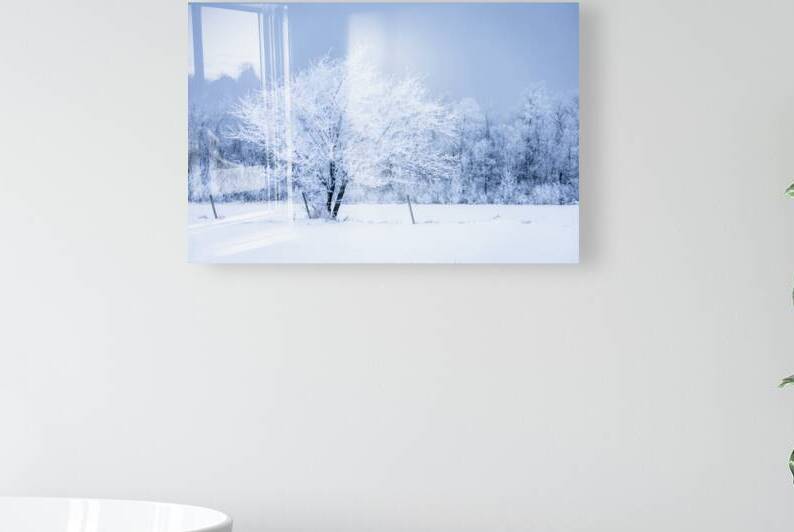 Lone Tree in Hoarfrost by Marc Gilbert Photography