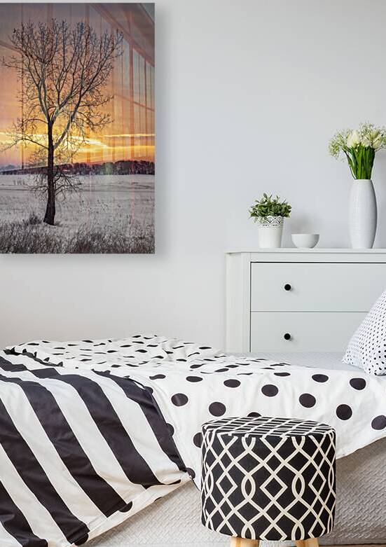 Lone Tree at Sunrise by Marc Gilbert Photography