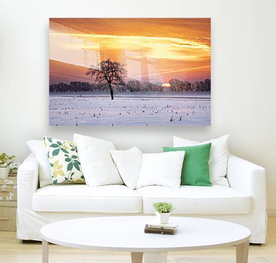 Lone Tree at Sunrise by Marc Gilbert Photography