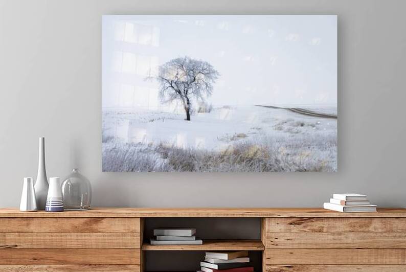 Lone Tree in Winter Fog by Marc Gilbert Photography