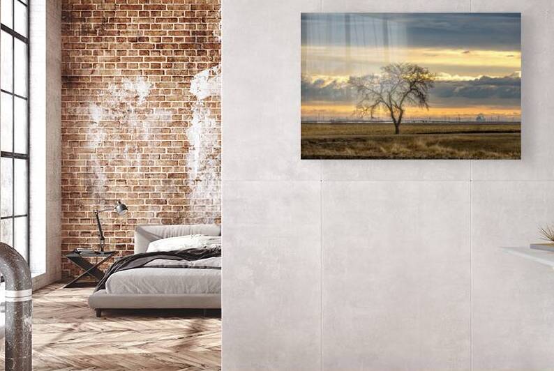 Lone Tree at Sunrise by Marc Gilbert Photography