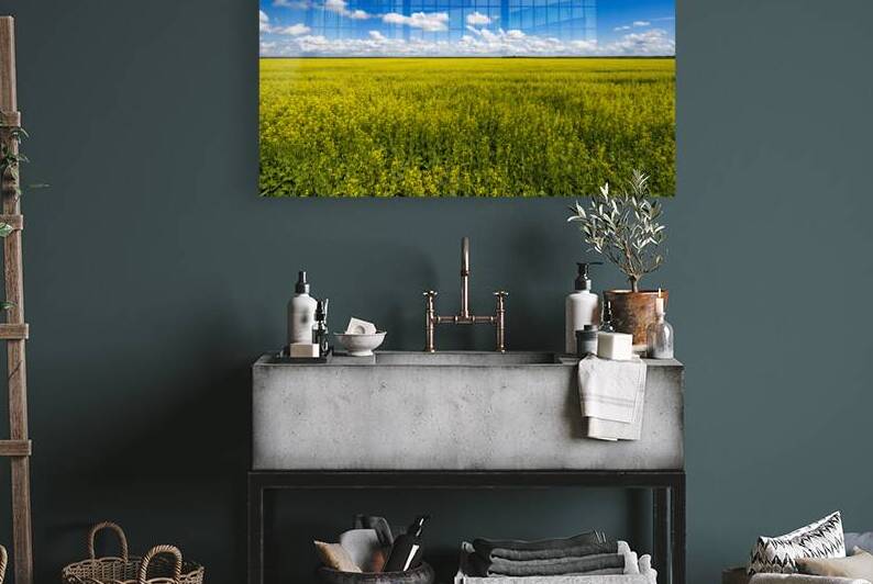 Blue and Yellow by Marc Gilbert Photography