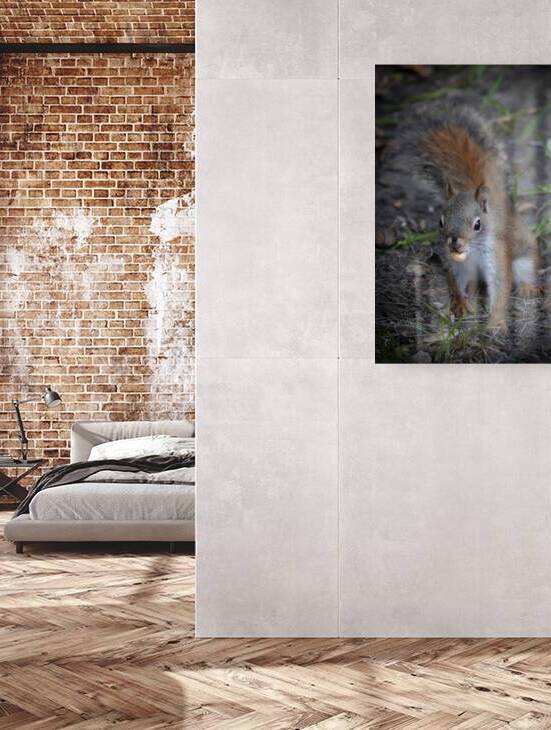 Squirrel Go Nuts by Marc Gilbert Photography