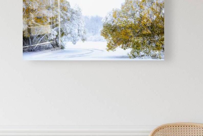 A Path Under the First Snow by Marc Gilbert Photography