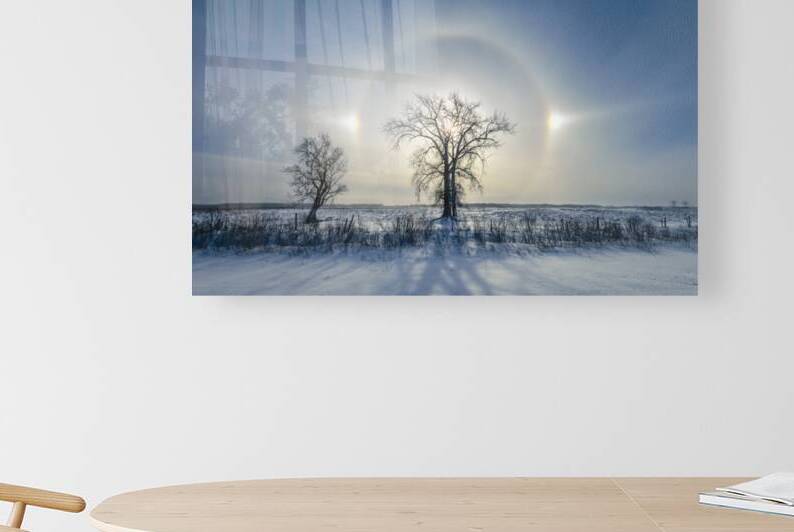 Sundogs Behind Lone Trees by Marc Gilbert Photography