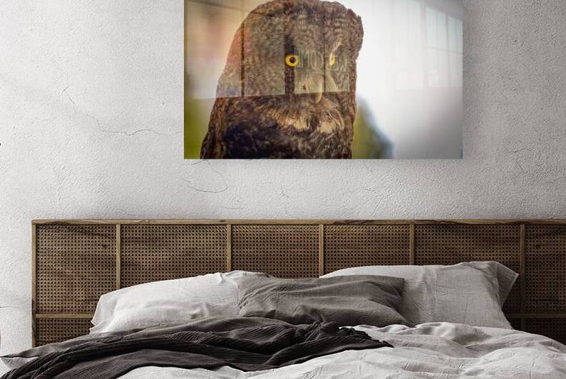 Owl by Marc Gilbert Photography